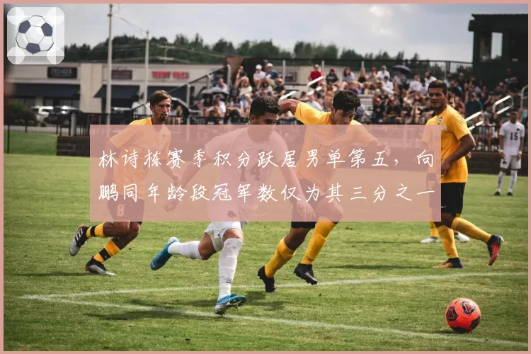 林诗栋赛季积分跃居男单第五，向鹏同年龄段冠军数仅为其三分之一