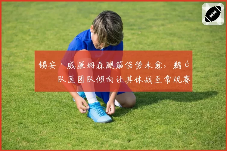 锡安·威廉姆森腿筋伤势未愈，鹈鹕队医团队倾向让其休战至常规赛末段