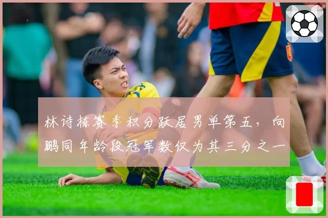 林诗栋赛季积分跃居男单第五，向鹏同年龄段冠军数仅为其三分之一